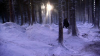 Stark 01: Screencap 11