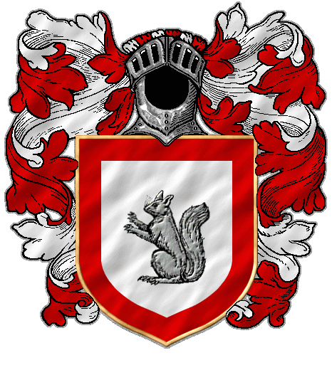 A grey squirrel on white with red border