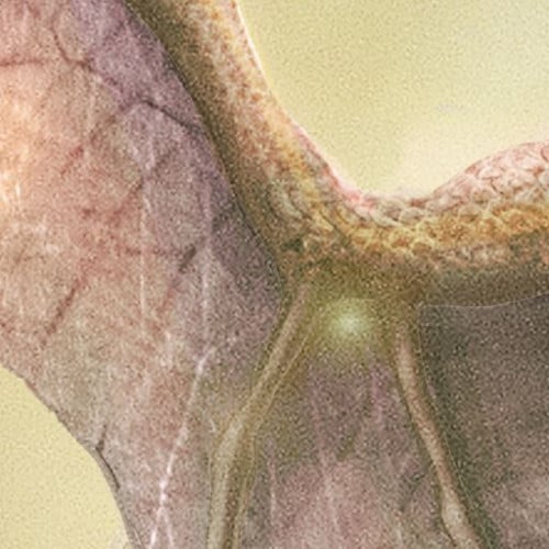 Click for full-sized image